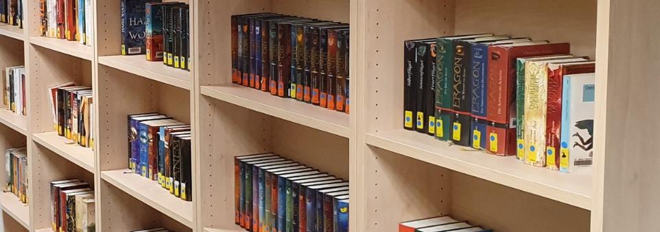 Bücherregal